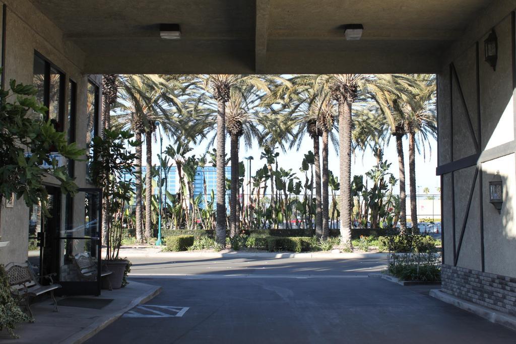 Alamo And - Convention Center
