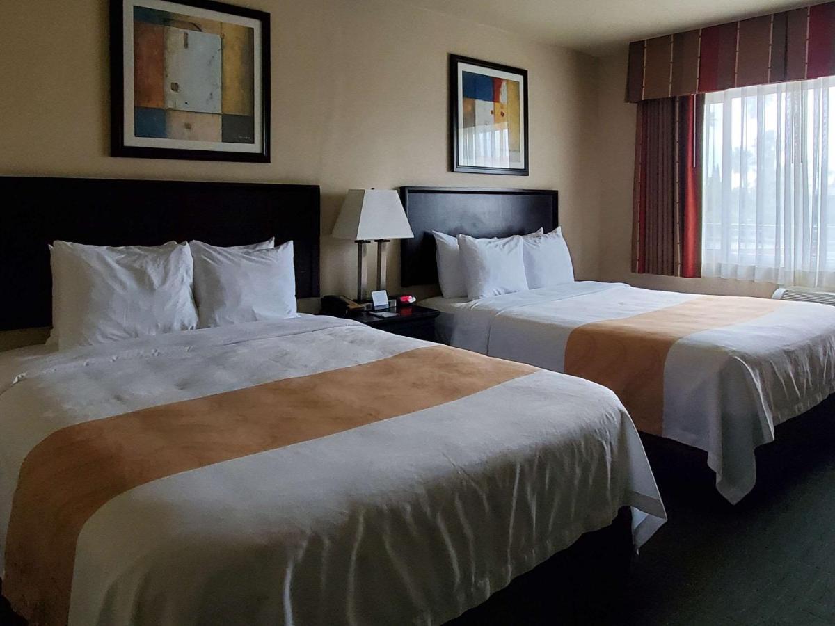 Quality & At The Park Hotel