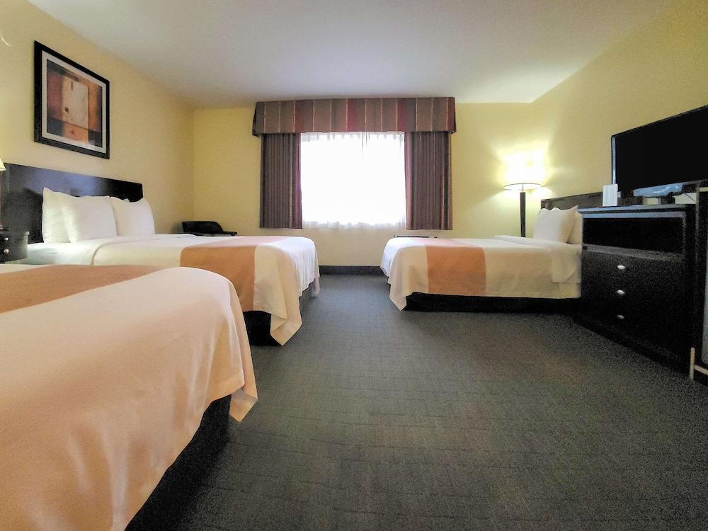 Quality & At The Park Hotel