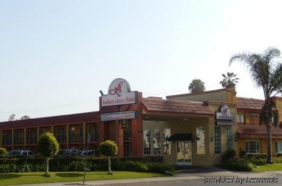 Queens Hotel