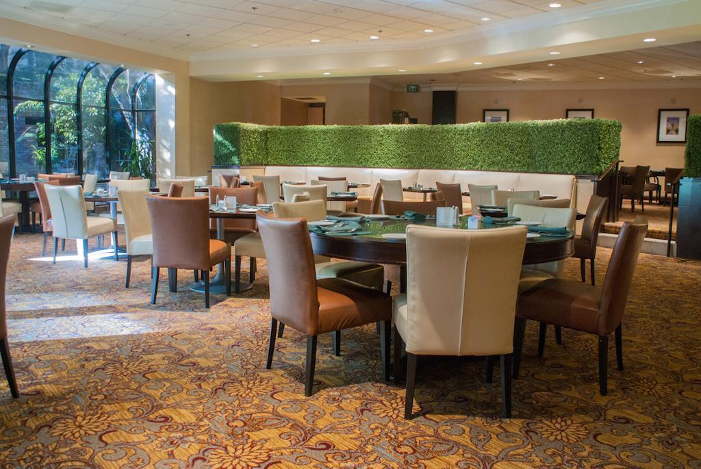 Hotel Majestic Garden