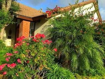 Romantic And Luxury Disney