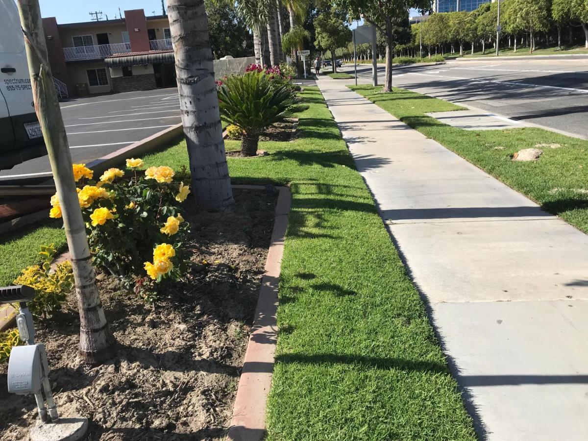 Abby's Anaheimer - Across Disneyland Park 2* Anaheim