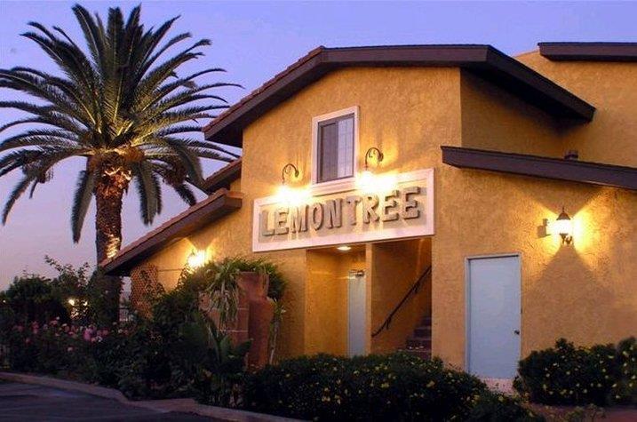 The Lemon Tree 3*
