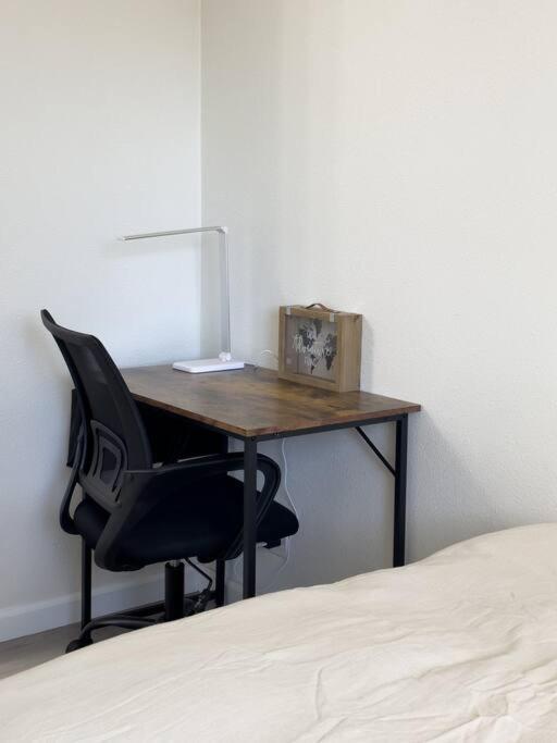 Modern Retreat 1 Mi. From