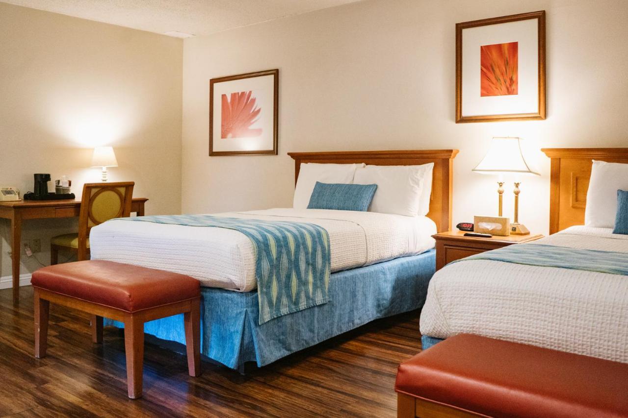 Hotel Alamo And - Convention Center 2*