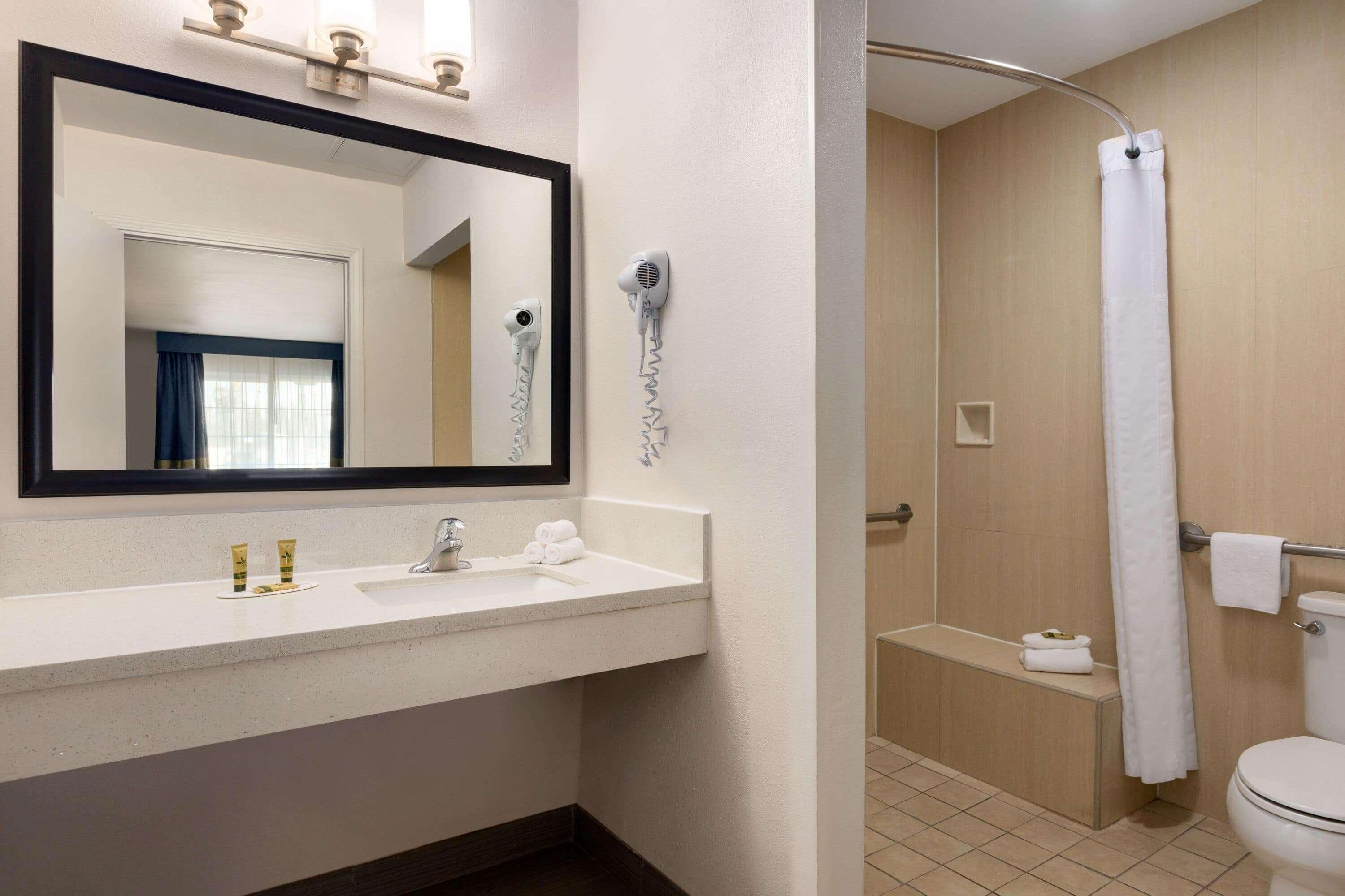Days & By Wyndham At Disneyland Park Motel 2*