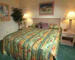 Club Wyndham Dolphin's Cove Resort 3*