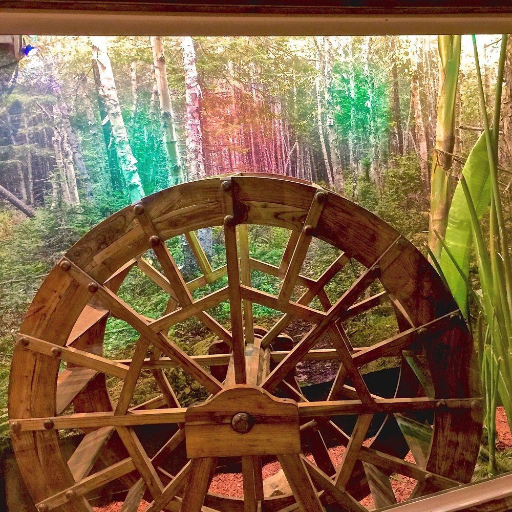 Magic Forest Disney Theme * Anaheim