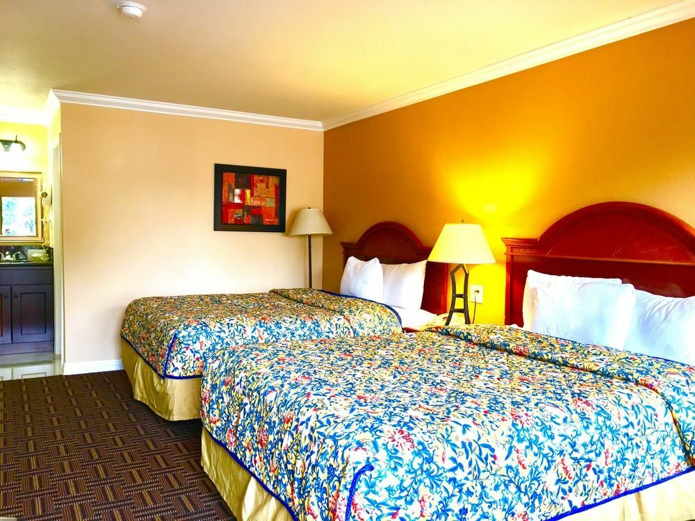 Hotel The Lemon Tree