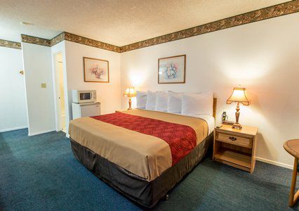 Econo North Motel