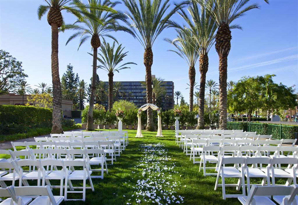 Sheraton Park At The Hotel 4*