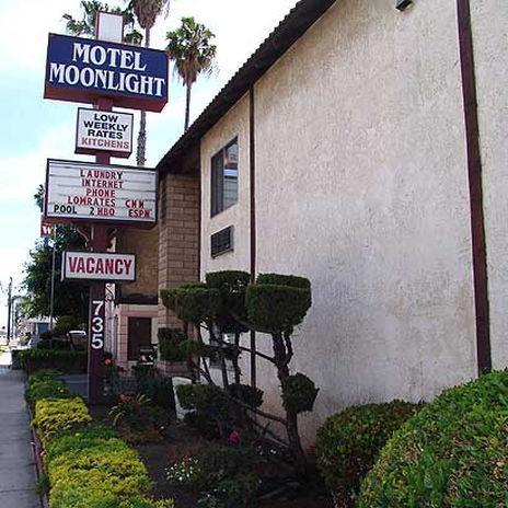Motel Moonlight