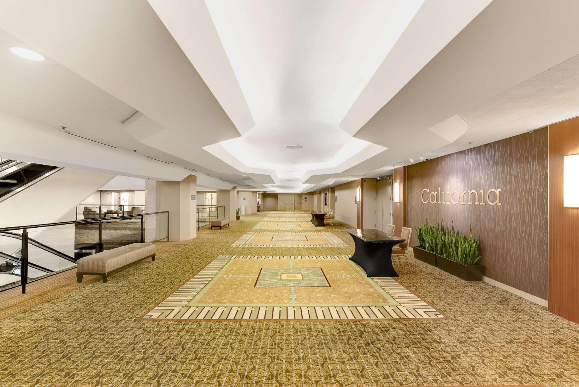 Hilton