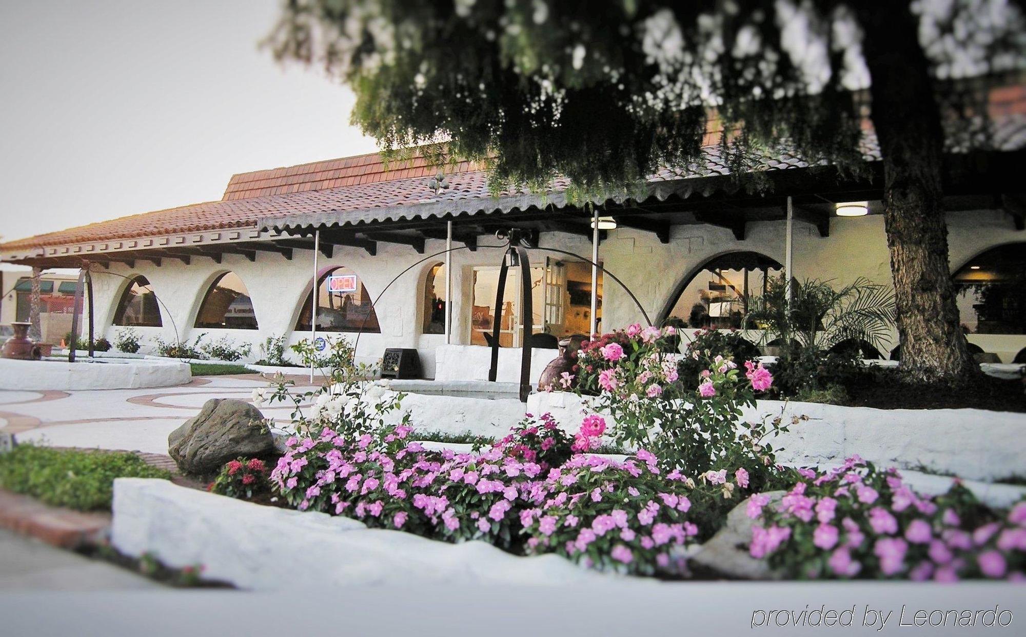 Hotel Pepper Tree Boutique Kitchen -