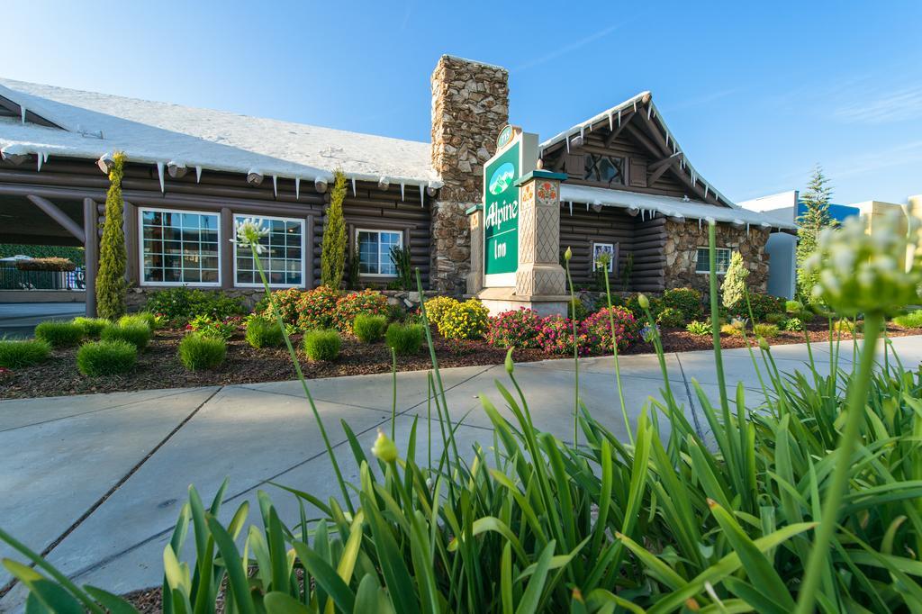 Alpine Near Convention Center And The Park