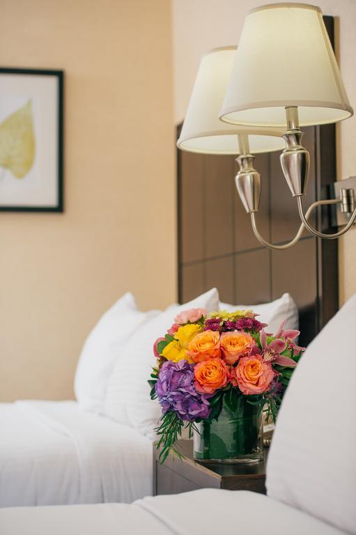 Hotel Alpine Near Convention Center And The Park 2*