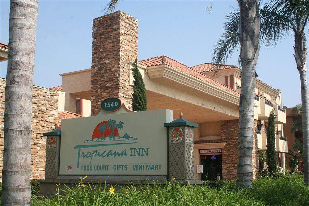Tropicana & 3*