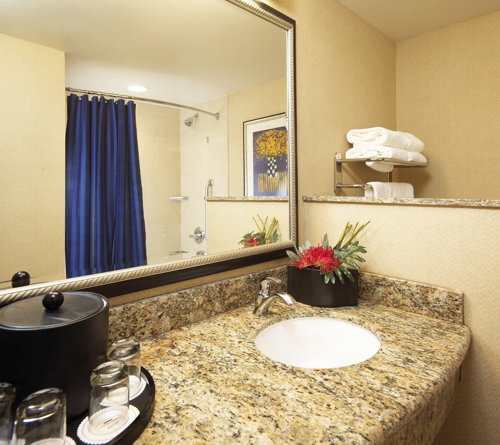 Hotel Courtyard By Marriott Resort/convention Center Anaheim