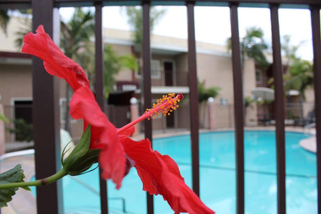 Hotel Budget Near Disneyland Drive 2*