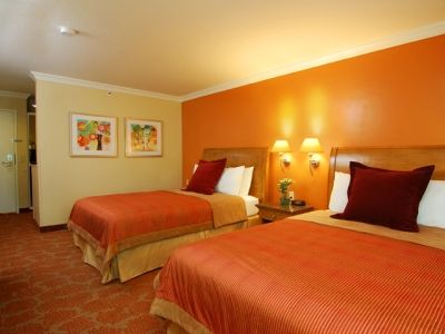 Desert Palms & Hotel 3*