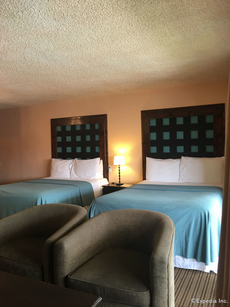 Hotel Pepper Tree Boutique Kitchen - 3*
