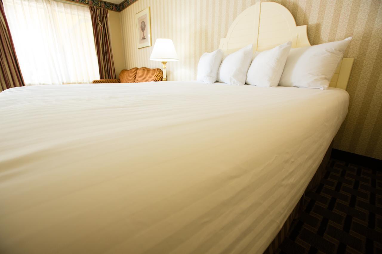 Hotel Carriage 3*