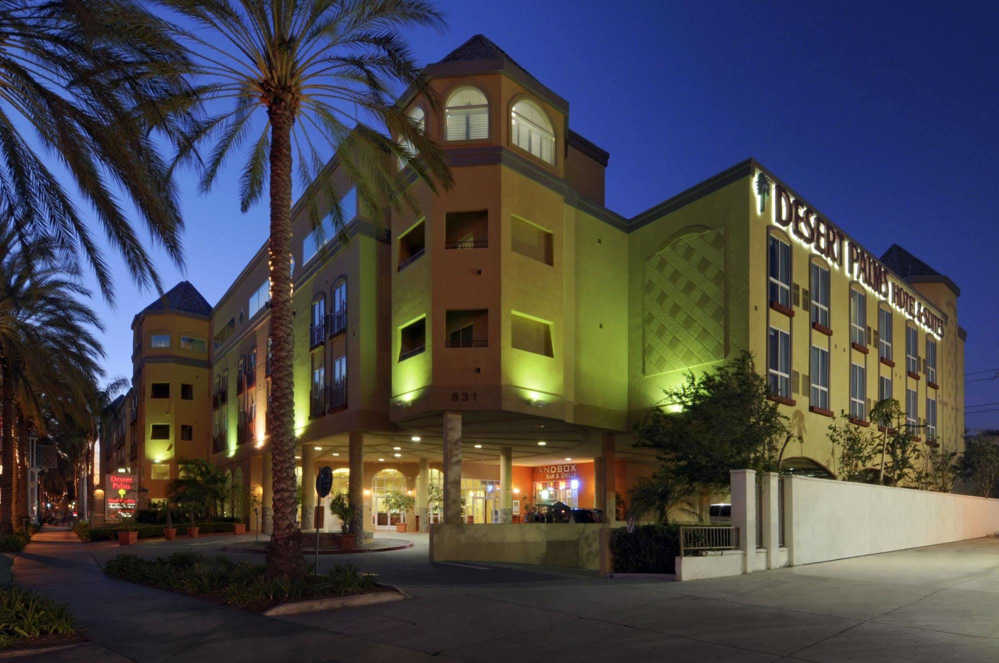 Desert Palms &