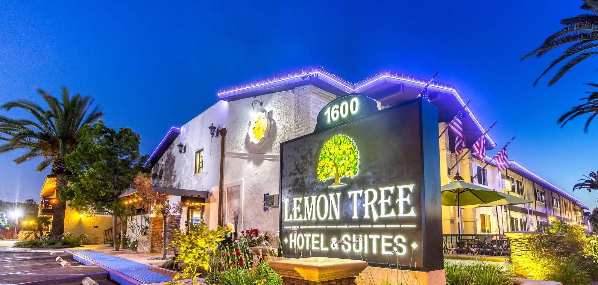 Hotel The Lemon Tree