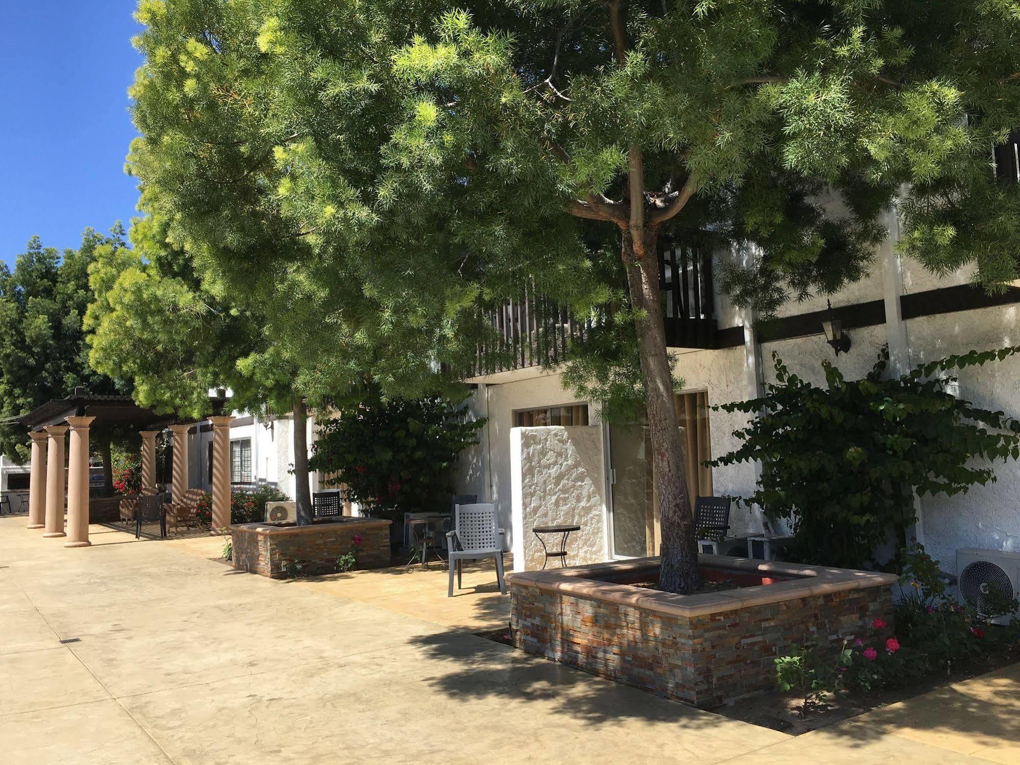 Hotel The Lemon Tree 3*