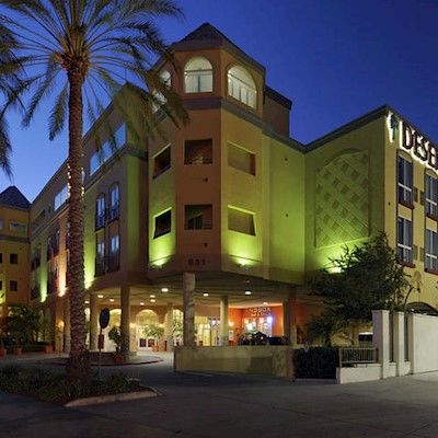 Desert Palms & Hotel 3*