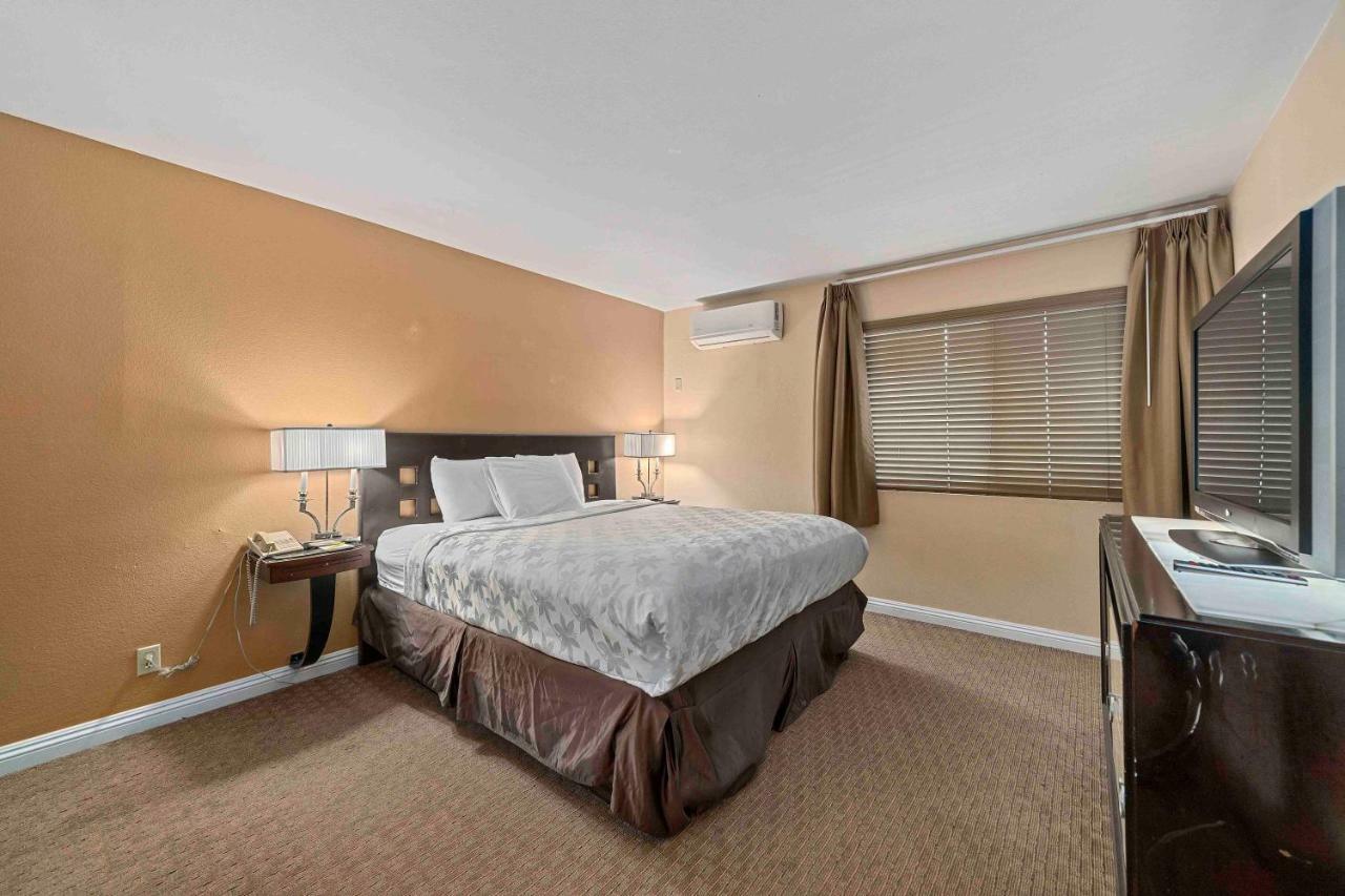 The Lemon Tree Hotel 3*