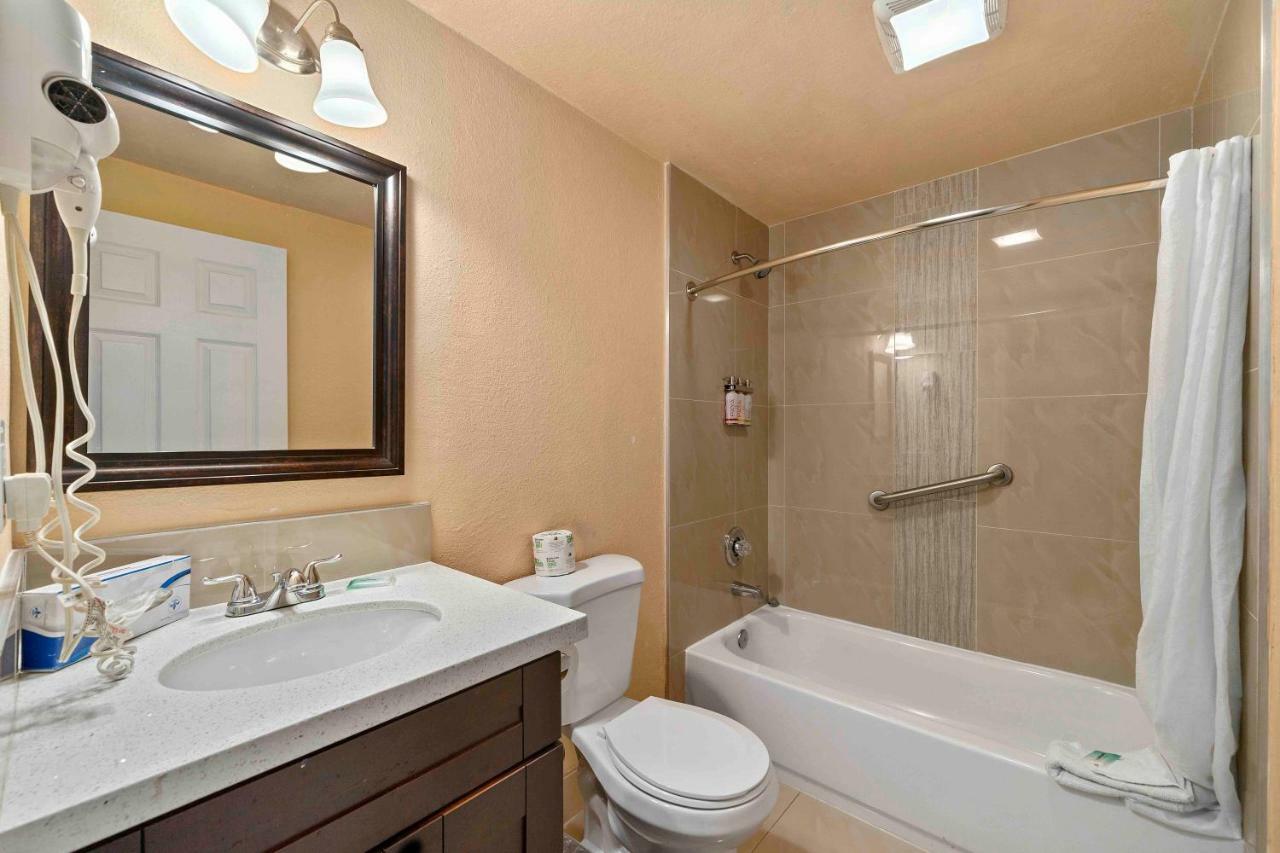 Hotel The Lemon Tree