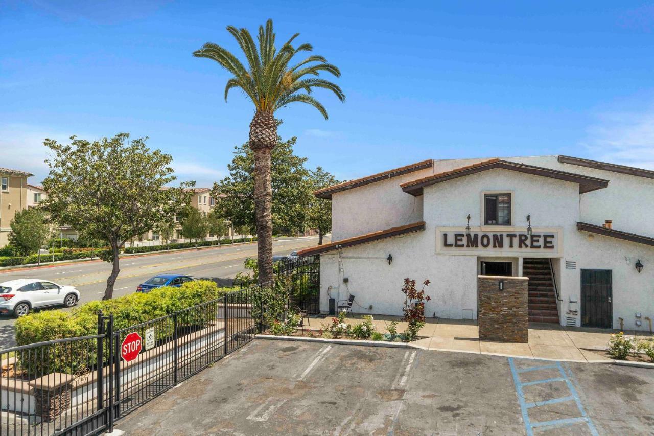 Hotel The Lemon Tree