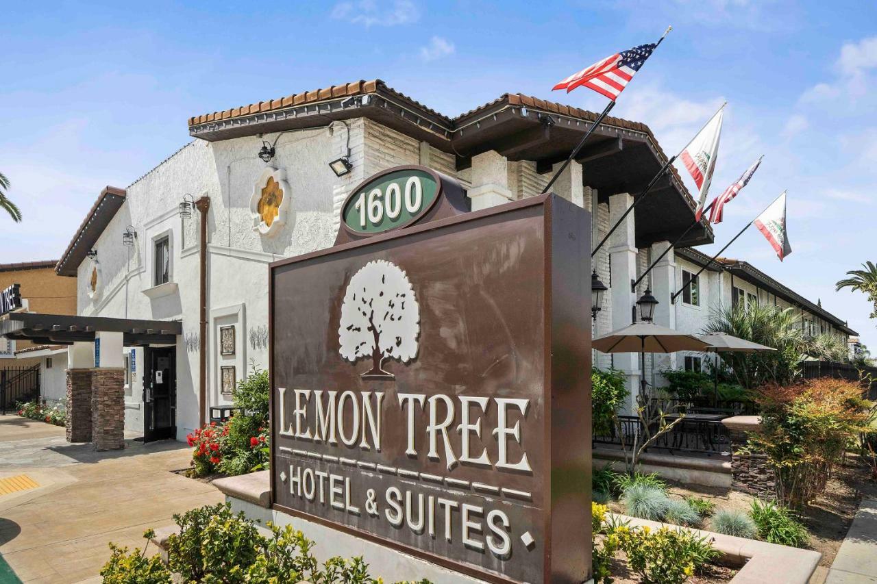 Hotel The Lemon Tree