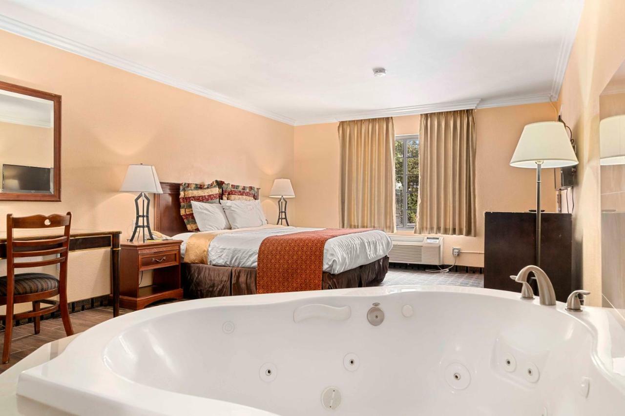 Hotel The Lemon Tree