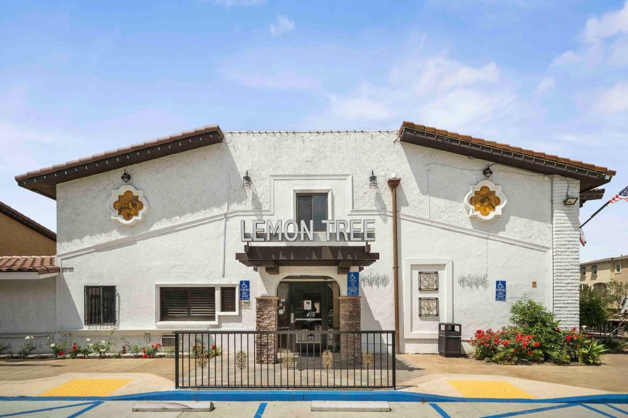 The Lemon Tree Anaheim