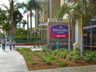 Springhill By Marriott At Area/convention Center Hotel