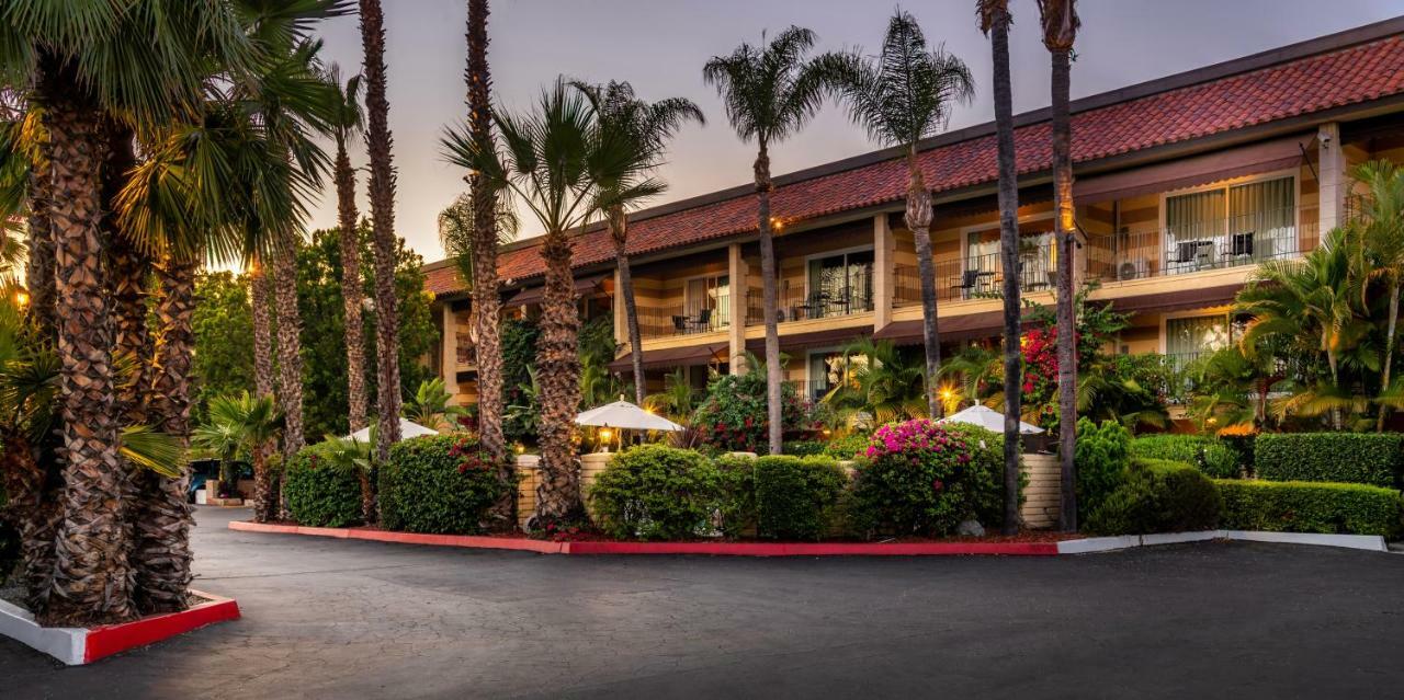 Pepper Tree Boutique Kitchen - 3*